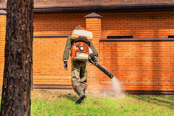Cockroach Follow-Up and Monitoring in Brentwood